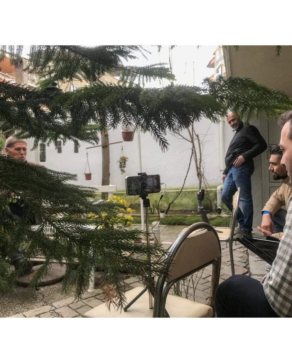 Pomakköy’ün Koca Çınarları